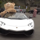 Mission Accomplished: Bear placed in car.